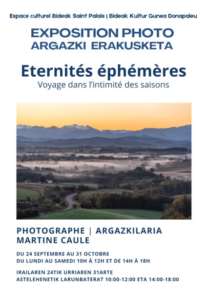 Affiche Expo Éternités Éphémères par Martine Caule